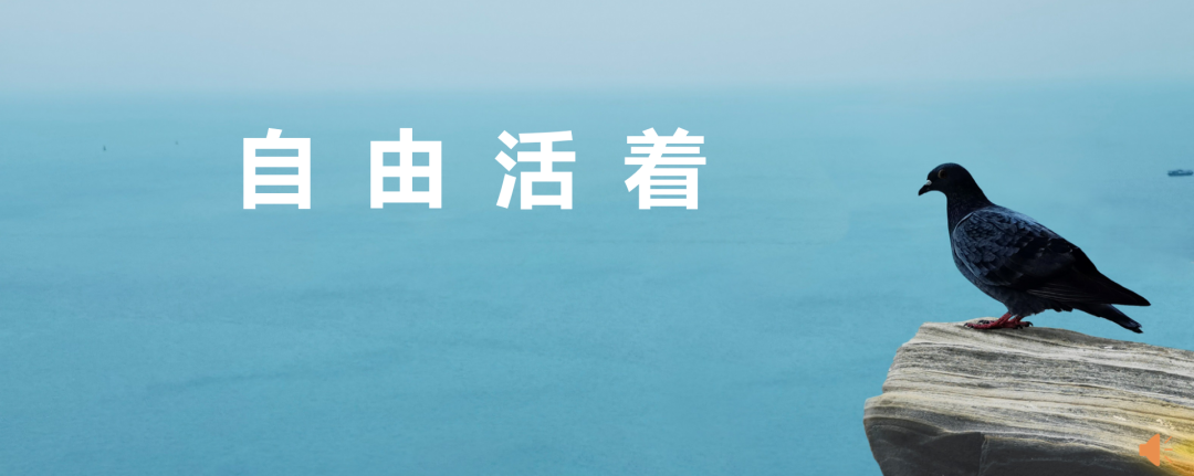 精品乱码一区内射人妻无码