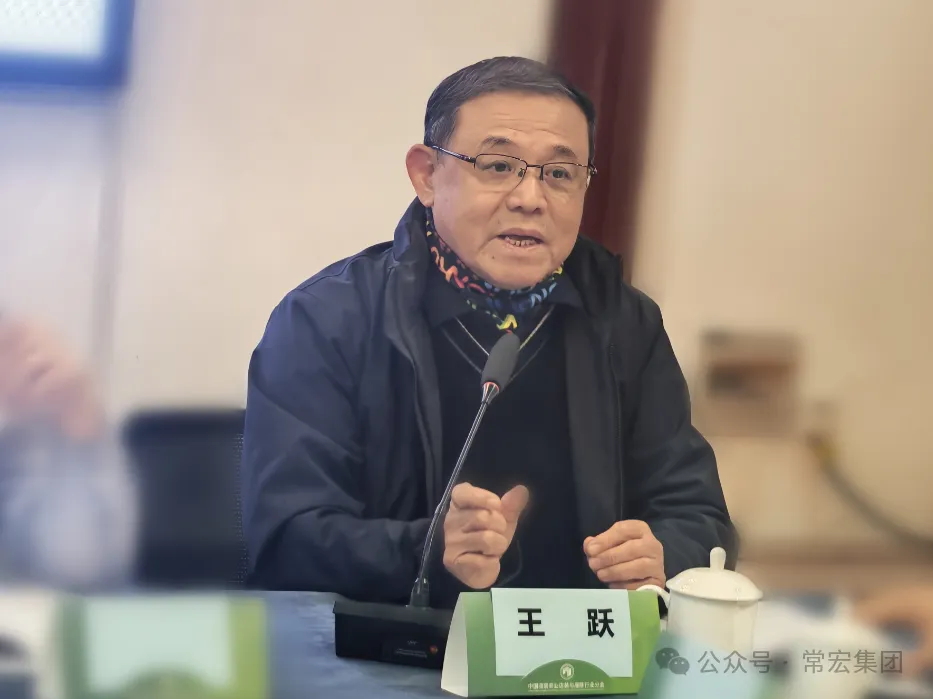 精品乱码一区内射人妻无码