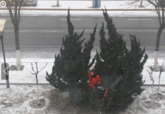 最美&ldquo;一线&rdquo;人-建筑装饰业一线工人的一天