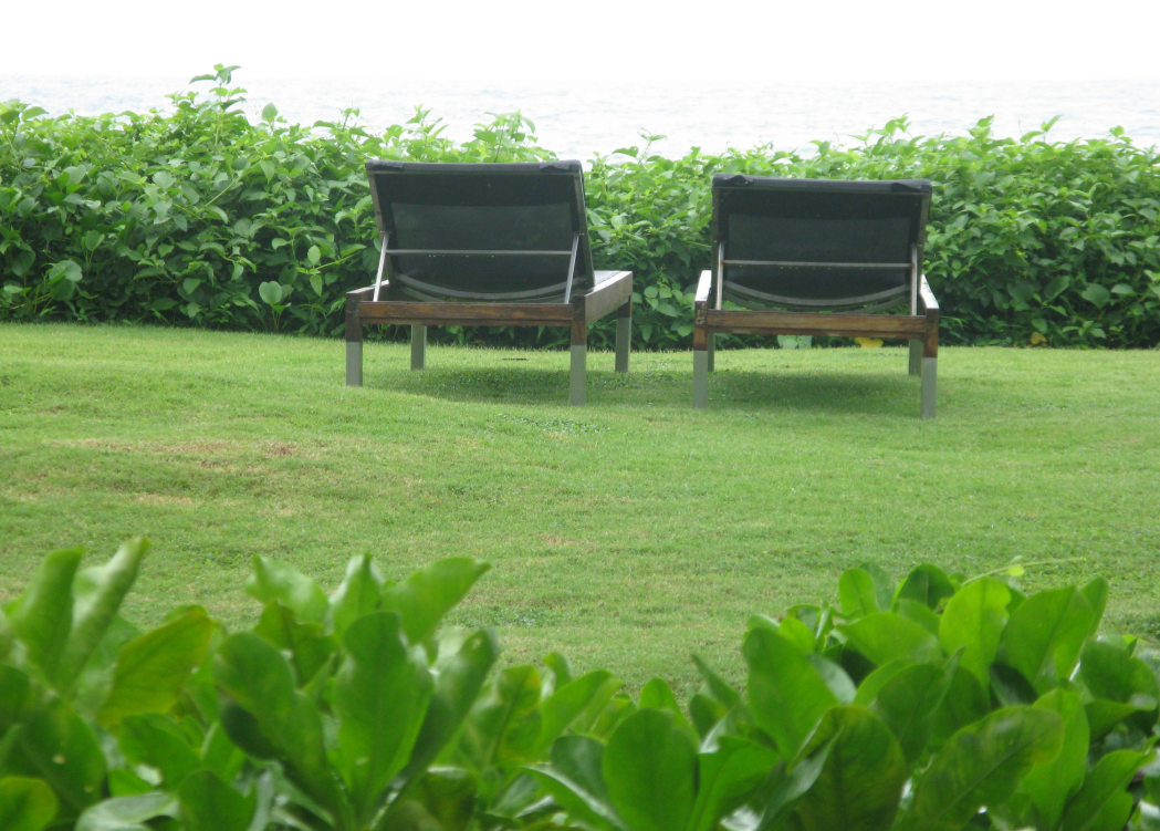 精品乱码一区内射人妻无码