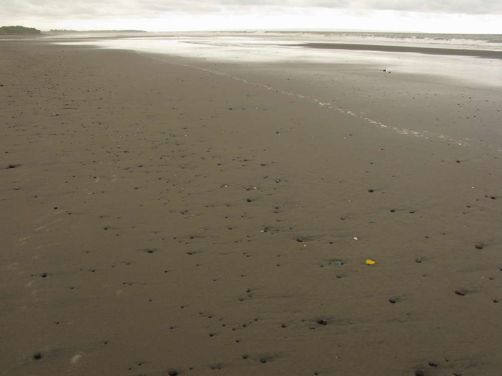 精品乱码一区内射人妻无码