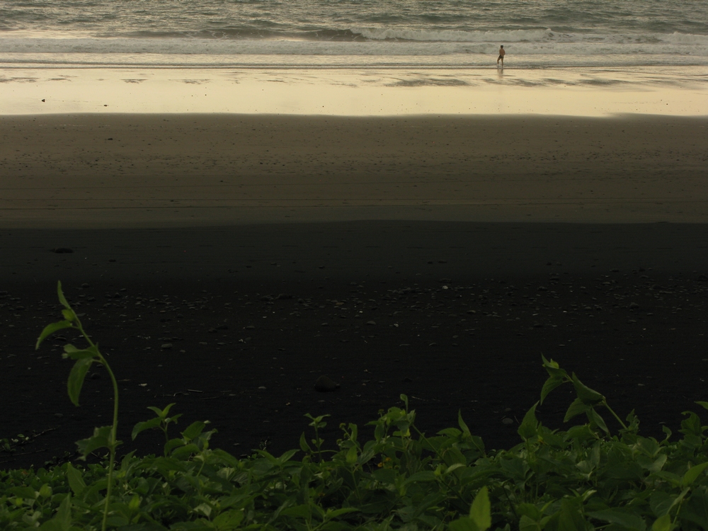 精品乱码一区内射人妻无码