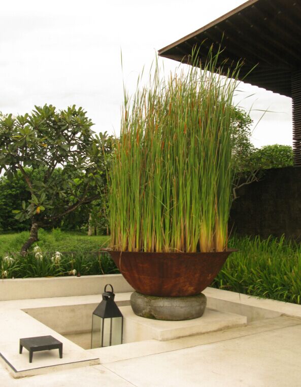 精品乱码一区内射人妻无码