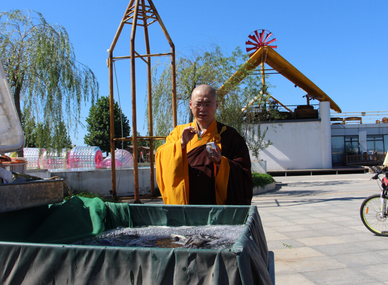 精品乱码一区内射人妻无码