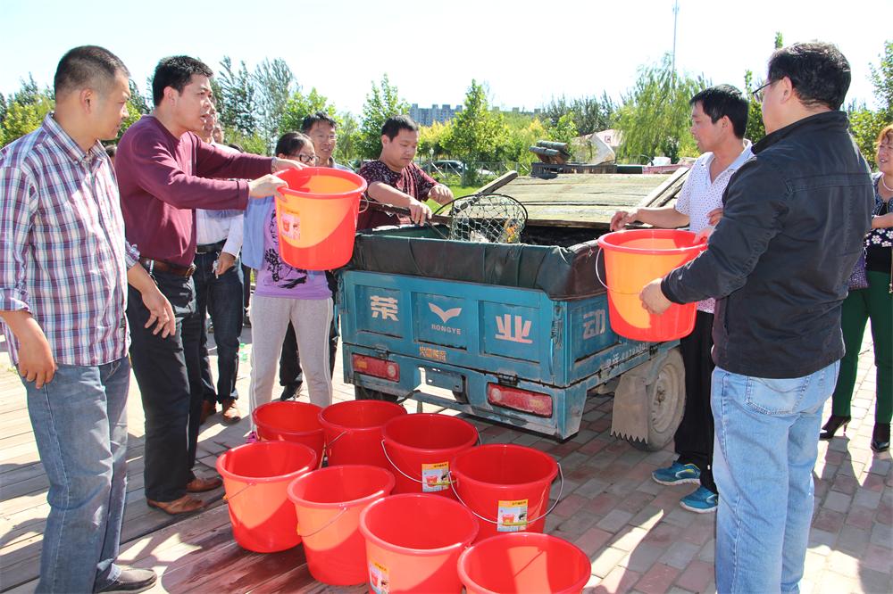 精品乱码一区内射人妻无码