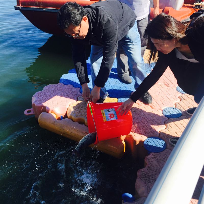 精品乱码一区内射人妻无码