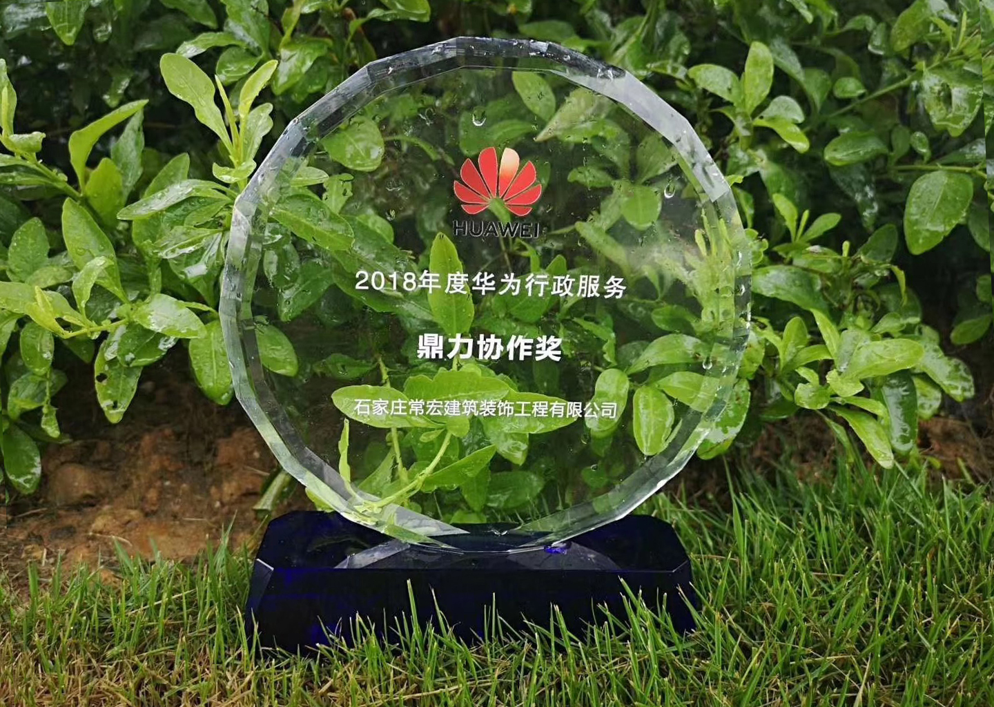 精品乱码一区内射人妻无码