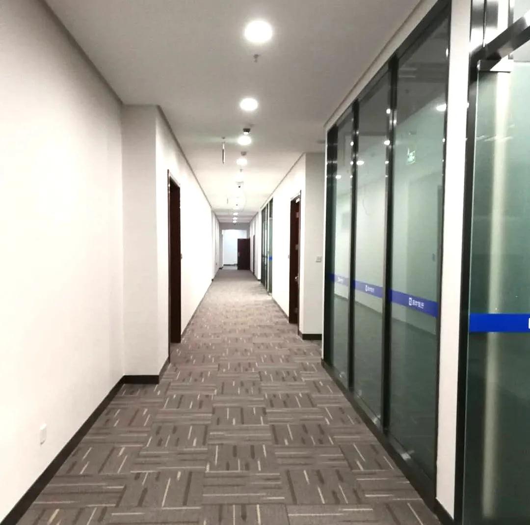 精品乱码一区内射人妻无码